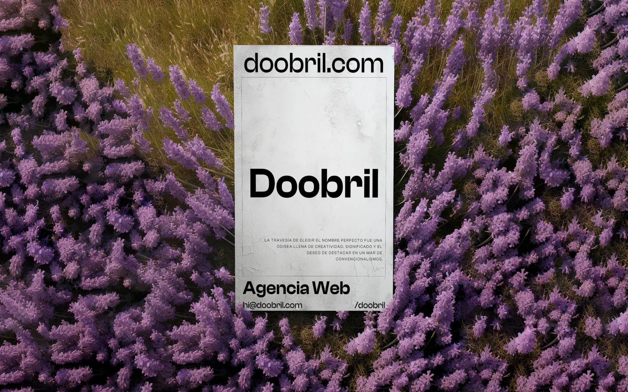 portada de los blogs de doobril